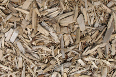 biomass boilers Tidnor